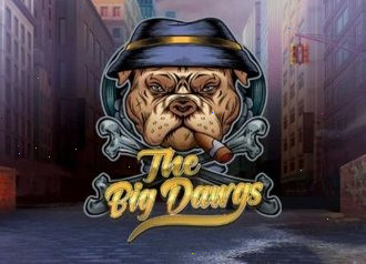 big dawgs pragmatci